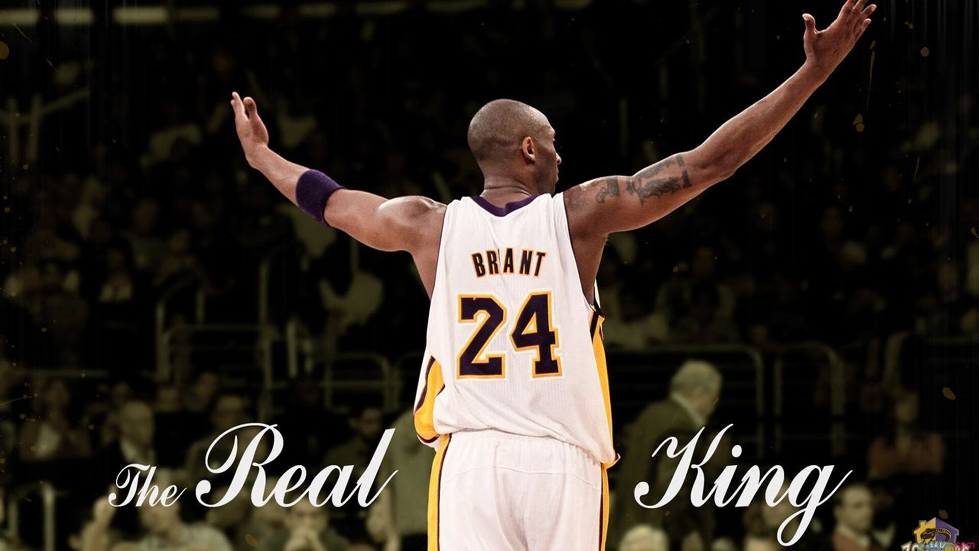 开云kaiyun-APEX英雄 全球总决赛即将来临，apex全国冠军